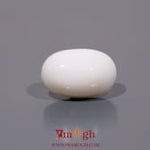 White Coral - 9.1 Carat