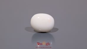 White Coral - 7.95 Carat