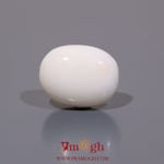 White Coral - 7.95 Carat