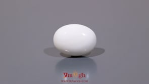 White Coral - 9.9 Carat