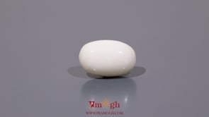 White Coral - 8.35 Carat