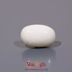 White Coral - 8.35 Carat