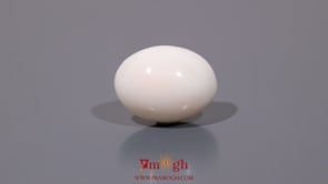 White Coral - 11.85 Carat
