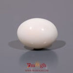 White Coral - 11.85 Carat