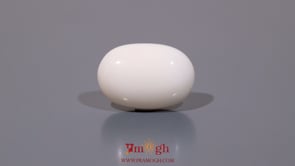 White Coral - 11.05 Carat
