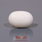 White Coral - 11.05 Carat