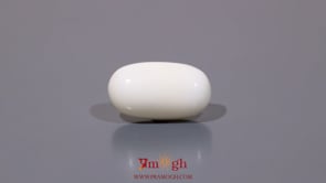 White Coral - 9.9 Carat