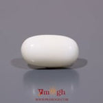 White Coral - 9.9 Carat