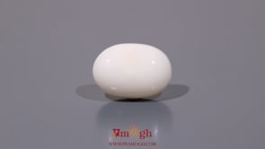 White Coral - 8.9 Carat