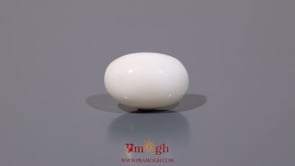 White Coral - 8.55 Carat