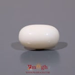 White Coral - 10.7 Carat
