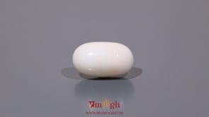 White Coral - 8.35 Carat