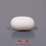 White Coral - 8.35 Carat