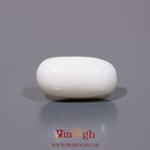 White Coral - 8.5 Carat