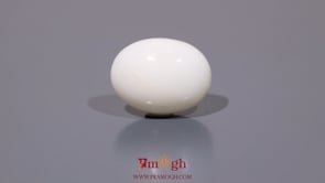 White Coral - 10.8 Carat