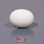 White Coral - 10.8 Carat