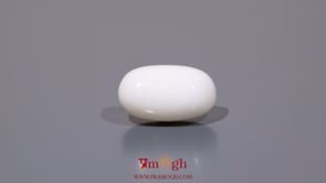 White Coral - 8.3 Carat