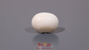 White Coral - 10.48 Carat