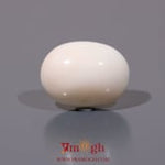 White Coral - 10.48 Carat