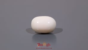 White Coral - 10.95 Carat
