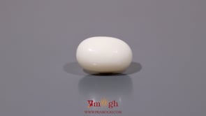 White Coral - 10.15 Carat