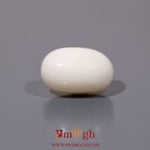 White Coral - 10.15 Carat