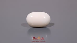 White Coral - 10.65 Carat