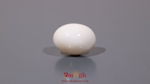 White Coral - 10.7 Carat