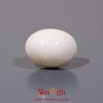 White Coral - 10.7 Carat