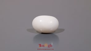 White Coral - 8.35 Carat