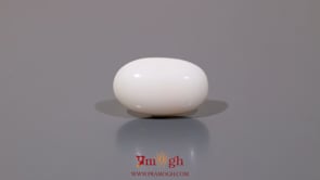 White Coral - 8.15 Carat