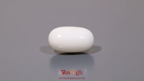 White Coral - 10.55 Carat