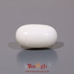White Coral - 10.55 Carat