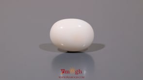 White Coral - 10.25 Carat