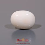 White Coral - 10.25 Carat