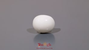 White Coral - 8 Carat