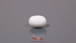 White Coral - 7.7 Carat