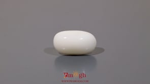 White Coral - 8.7 Carat