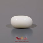 White Coral - 8.7 Carat
