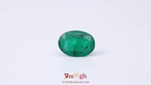 Zambian Emerald - 2.4 Carat
