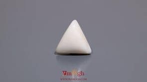 White Coral - 7.05 Carat