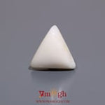 White Coral - 7.05 Carat