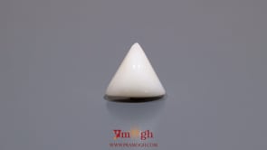 White Coral - 5.7 Carat