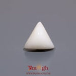 White Coral - 5.7 Carat