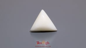 White Coral - 11.15 Carat