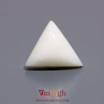 White Coral - 11.15 Carat