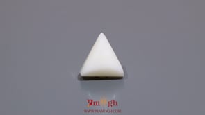 White Coral - 5.85 Carat