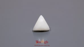 White Coral - 5.7 Carat