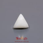 White Coral - 5.7 Carat