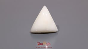 White Coral - 14.05 Carat